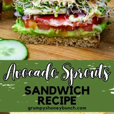 Healthy Avocado Sprouts Sandwich with fresh ingredients