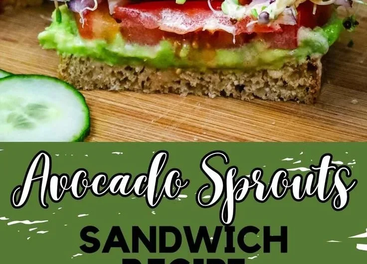 Healthy Avocado Sprouts Sandwich with fresh ingredients