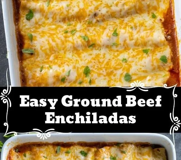 Plate of meaty enchiladas topped with cheese and drizzled with sauce