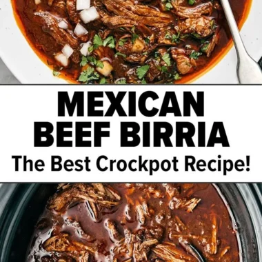 Delicious Mexican Beef Birria served in a traditional bowl with fresh herbs.
