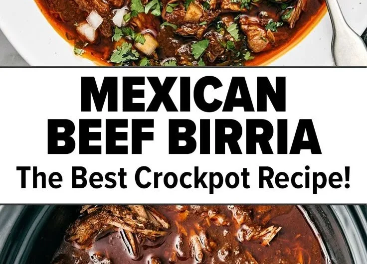 Delicious Mexican Beef Birria served in a traditional bowl with fresh herbs.